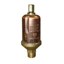 Bell & Gossett Hoffman Specialty® 401488 79 Series Water Main Vent Valve