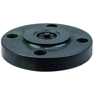 Chemtrol® CA16550 4519-H 1-Piece Solid Blind Flange