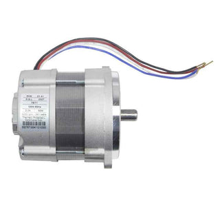 Riello C7001034 (3005843) Motor For F3 F5 F10 M3 M5 M10 40