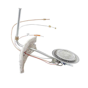 APCOM 100109316 AO Smith Burner Assembly