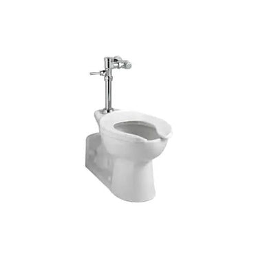 American Standard 6047161.002 Manual Exposed Toilet Flush Valve