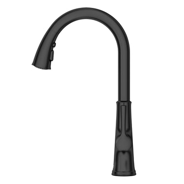 American Standard 9319310.243 Renate Pull Down Kitchen Faucet
